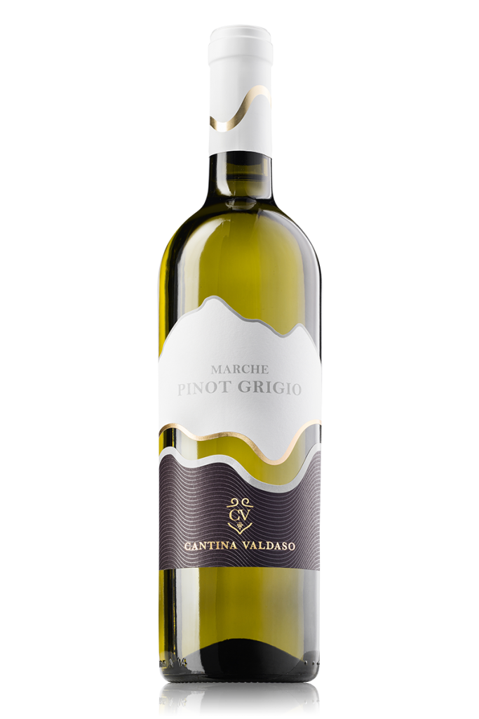 Marche Pinot Grigio I.G.T.