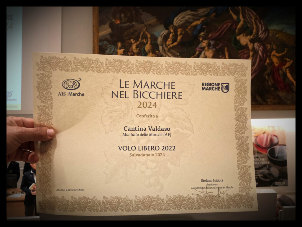 AIS MARCHE - VOLO LIBERO - PREMIO SALVADANIO 2024 - Associazione Italia Sommelier - Premio Valore/Prezzo - Vino Rosso Marche IGT - Vino Senza Solfiti Aggiunti -